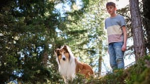 Lassie: Una nueva aventura — foto 1