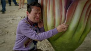 Episodio 50