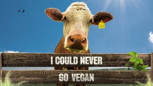 I Could Never Go Vegan — foto 2