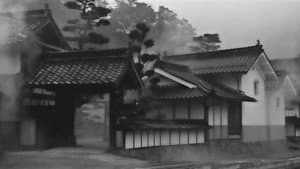 落葉樹 — foto 3