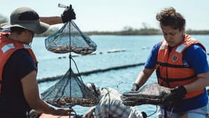 Take Back the Harbor — foto 1