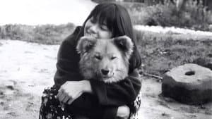 生まれた場所 — foto 8