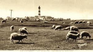 Il y avait du pétrole à Ouessant — foto 1