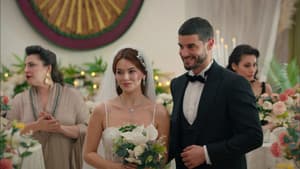 Episodio 17