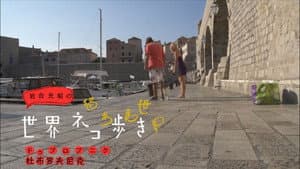 Episodio 13