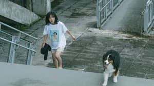 翌日 — foto 1