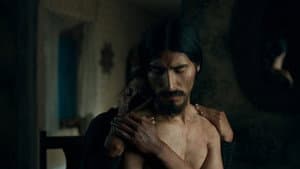 La anatomía de los caballos — foto 4
