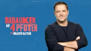 Rabauken auf 4 Pfoten - Mit Martin Rütter — foto 1