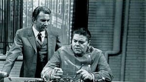 Nero Wolfe — foto 1