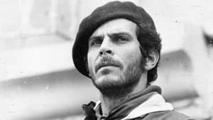 Pizarro — foto 1