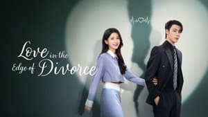 爱在离婚进行时 — foto 5
