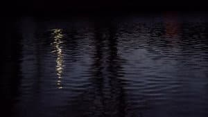 Phosphenes — foto 2