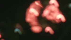 Visions in Meditation #4: D.H. Lawrence — foto 2
