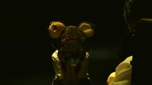 クロネズミ — foto 3