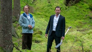 Den sidste viking — foto 12