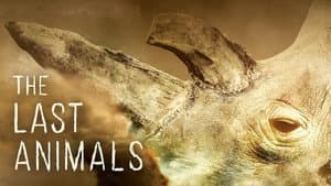 The Last Animals — foto 4