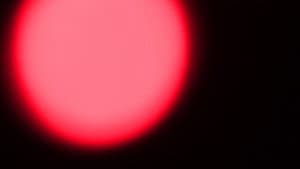 Corazón en la Luz — foto 1