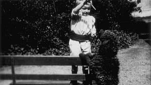 Enfant et chien — foto 1