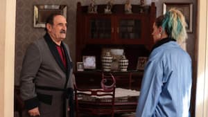 Episodio 29