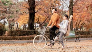 따라 바람 — foto 1
