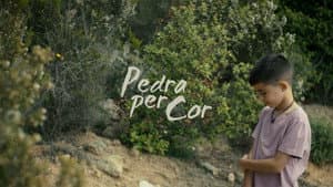 Pedra per Cor — foto 1
