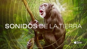 Sonidos de la Tierra — foto 7