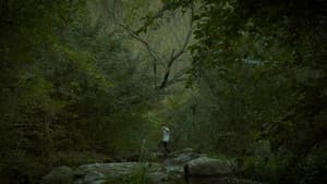 REM — foto 5