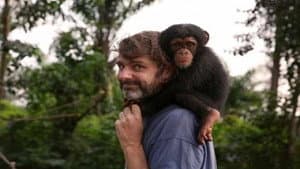 Baby Chimp Rescue — foto 2