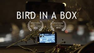 Bird in a Box — foto 1