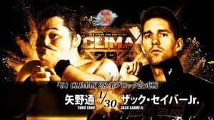 NJPW G1 Climax 28: Day 4 — foto 5