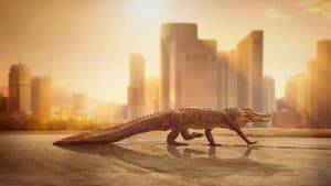 Cities: Nature's New Wild — foto 1