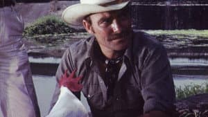 Supercock — foto 6
