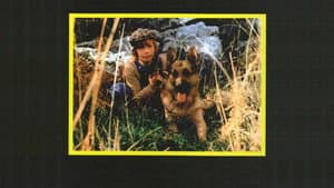 Zanna Bianca e il grande Kid — foto 1
