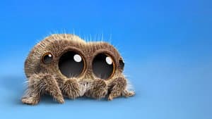 Lucas the Spider — foto 4