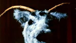 The Witching — foto 1