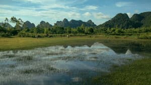 Người Bất Tử — foto 6