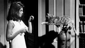 Eye of the Cat — foto 1
