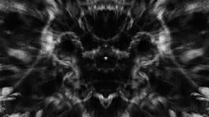 Meditations in Black and White I: Roots — foto 1