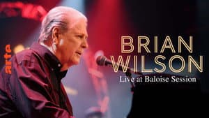 Brian Wilson à la Baloise Session — foto 12