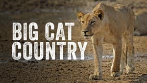 Big Cat Country — foto 1