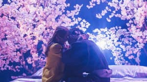 Romance Yakuza — foto 9