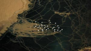 L'Algérie Vue Du Ciel — foto 10