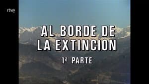 Episodio 81