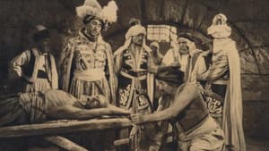 Il leone di Damasco — foto 1