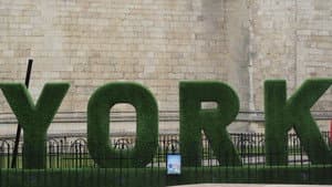 Inne the walles of Yorke — foto 6