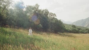 The Meadow — foto 1