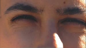 Flash — foto 1