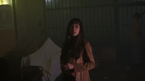 As Ruínas do Cinema Khouri — foto 4