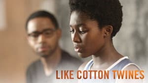 Like Cotton Twines — foto 5