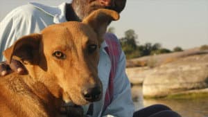 Man's First Friend — foto 1